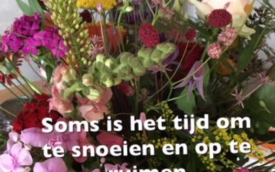 Soms is het tijd om te snoeien en op te ruimen