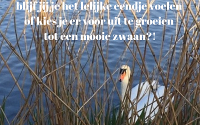 Tot hier….. en niet verder!