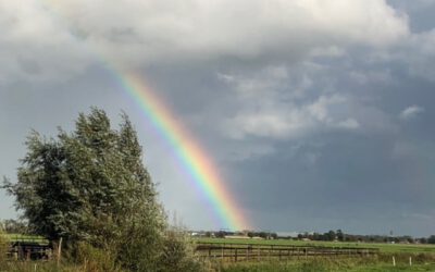 ‘Aan het eind van de regenboog staat een pot met goud…’